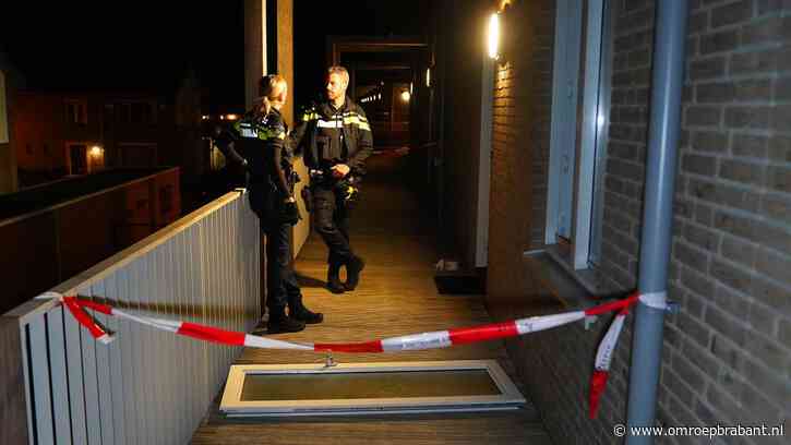 Bewoner mishandeld en gewond bij overval op appartement in Vlijmen