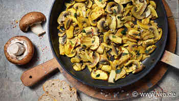Vegetarische Pilzpfanne: einfach, würzig und mit Frischkäse abgerundet