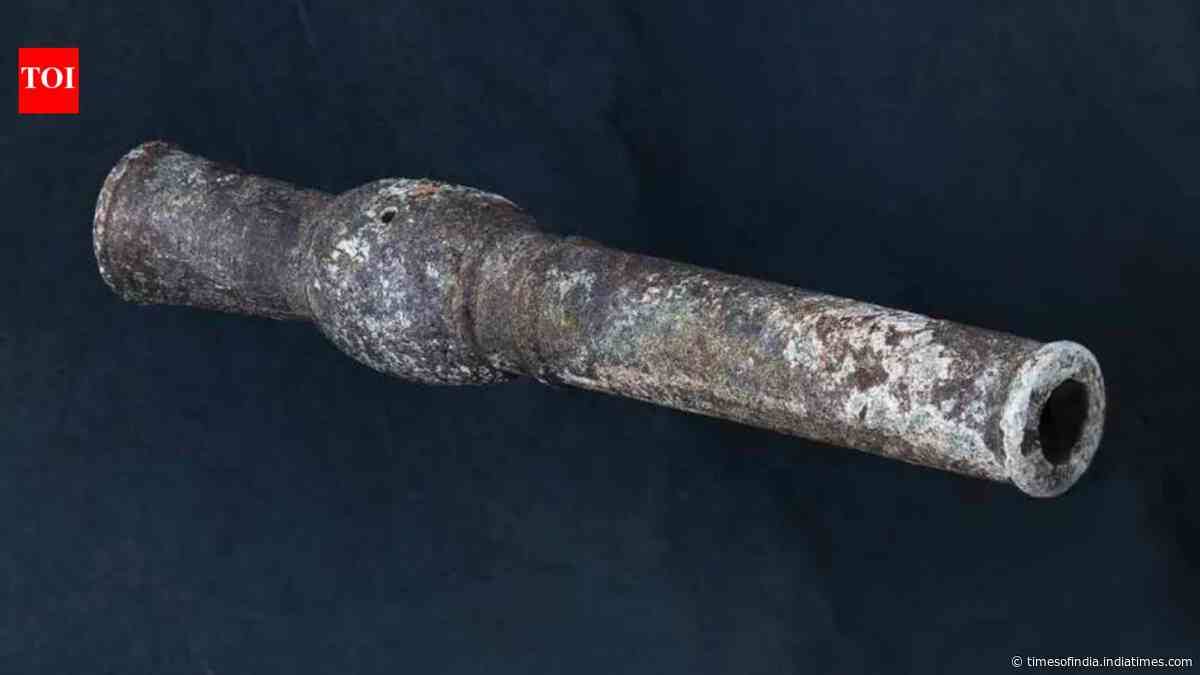 Soldiers looking for land mines in South Korea have found the country's oldest gun dating back to more than 600 years