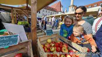 Großer Andrang beim Freisinger Erntedankmarkt am Marienplatz: Ein Angebot war sofort ausverkauft