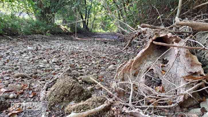 Turano, il fiume che scompare sotto la diga: la battaglia sull’acqua per Enel