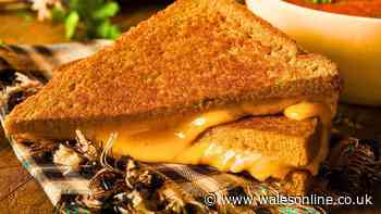 Cheese toasties crisp up better while cooking if you ditch butter for a much tastier ingredient