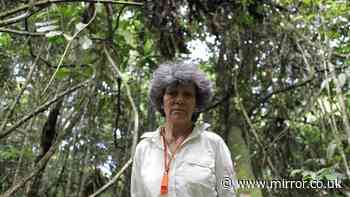 Woman raised in jungle by monkeys left terrified after looking in mirror for first time