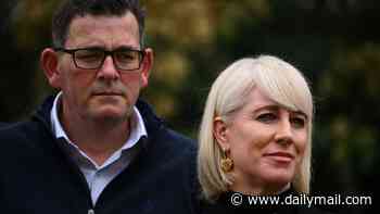 Dan Andrews is blamed for 'Bike Boy' crash victim's life of crime - as carjacker says he turned to meth after he was hit by the former Premier's SUV