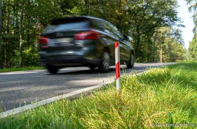 POL-DA: Südhessen/Landkreis Darmstadt-Dieburg: Wildunfallzeichen markieren die Unfallstelle - nicht den Unfallschwerpunkt