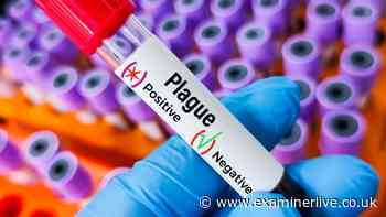 'Plague' that killed Russian lab worker could be 'rarest but most severe'