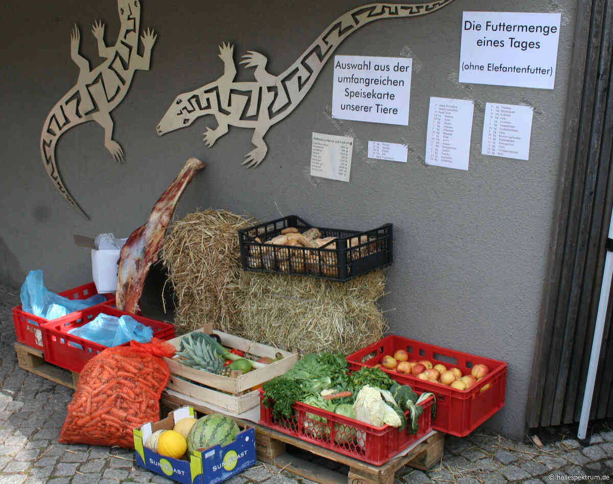 ZOOEinblicke: Bergzoo Halle öffnet die Türen hinter den Kulissen
