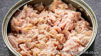 Stop adding mayonnaise to tinned tuna when 1 fridge ingredient is much tastier