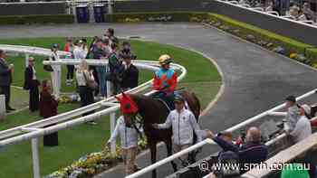World's best horse draws big Randwick crowd