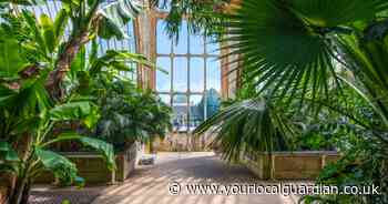 Kew launches £1m appeal to restore its historic Palm House