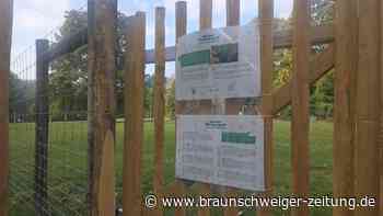 Neuer Wald im Wolfsburger Rothehof: Stiftung pflanzt 100 Bäume für Carl Hahn