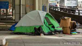 Toronto mayoral candidates pitch homelessness solutions without pledging new funds