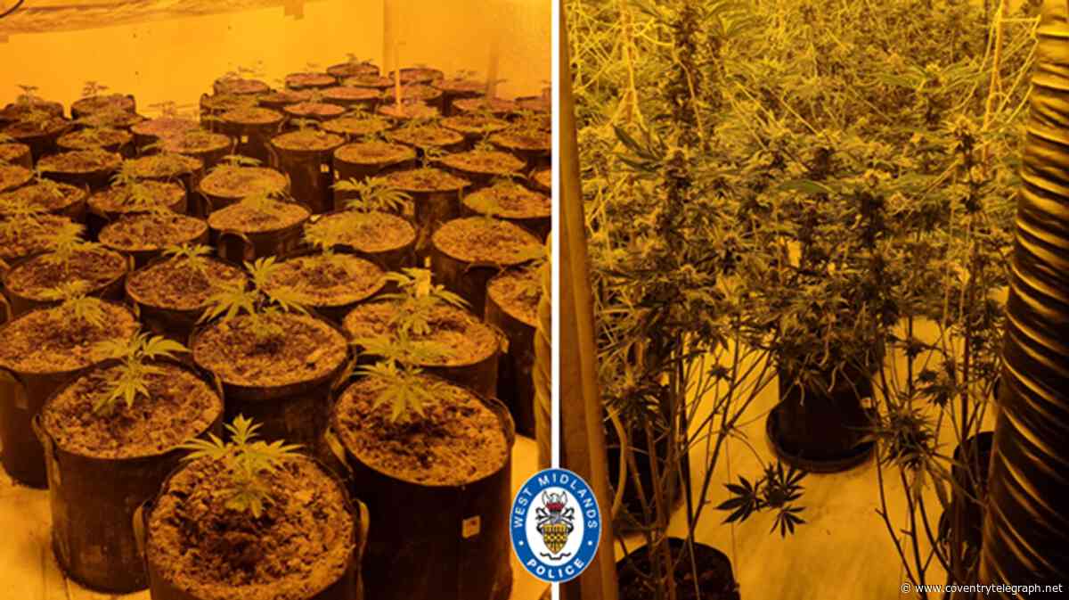 Police issue new statement after huge cannabis farm found in Coventry