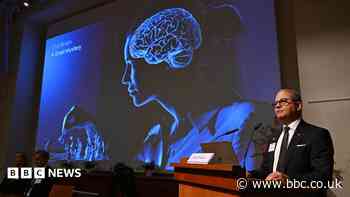 Nobel Prize awarded for revealing inner workings of the brain