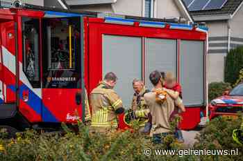 Brandweer bevrijdt jongetje uit boom