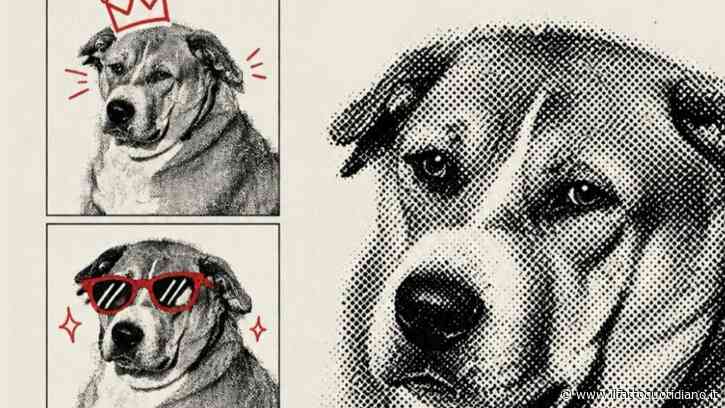 È Googoo il “cane più grasso” di Delhi: con i suoi 46 chili di peso ha “stracciato” gli altri 63 randagi, ma dopo la vittoria è stato messo a dieta