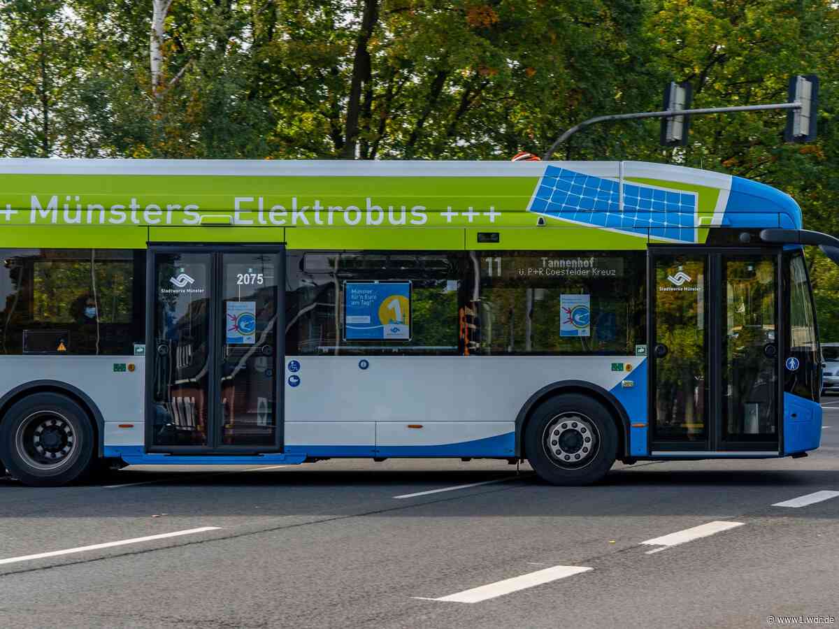 E-Bus Ranking 2026 der DUH: Münster fährt voran