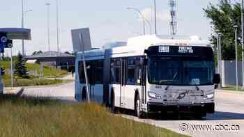 How can Winnipeg become a transit-loving city?