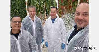Harmoniz neemt HW Seeds over