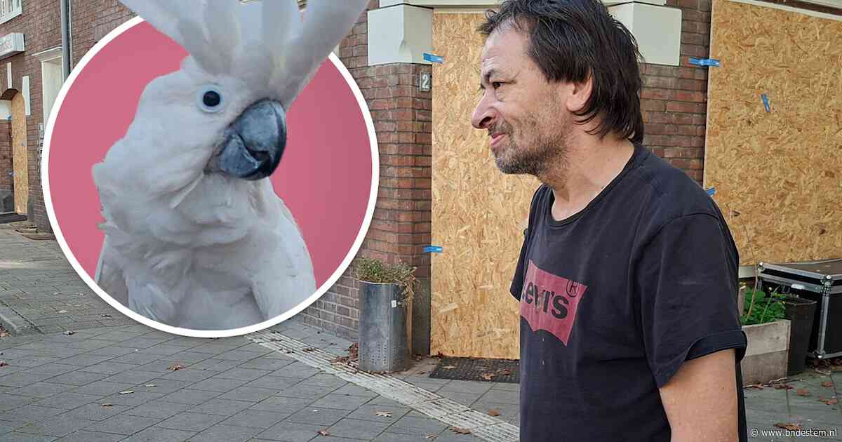 Erwin (58) had ruzie aan zijn deur, een dag later leeft hij op straat en is zijn kaketoe weg