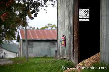 Advisory committee issues first recommendations for horse barn fire safety