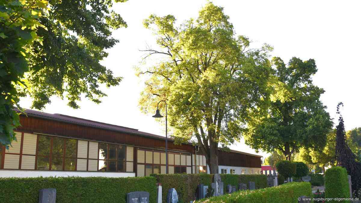 Warum die Linden in Altenstadt nun doch nicht gefällt werden