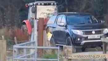 Feuding Welsh farmer causes £5,000 of damage after using tractor to destroy rival's truck