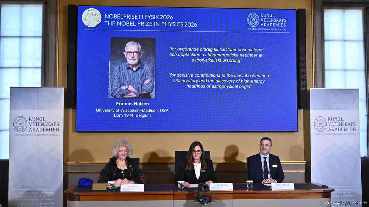 Nobelpreis für Physik geht an Neutrinoforscher Francis Halzen
