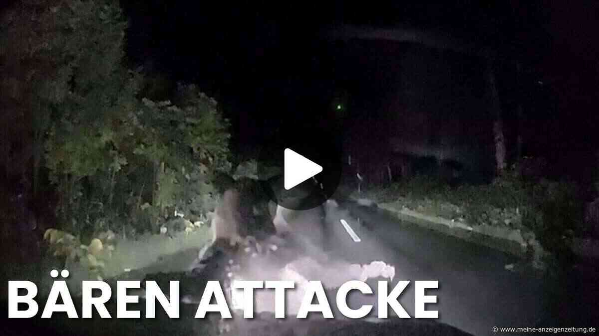 Bär attackiert Auto bei Nacht – Dashcam-Video zeigt Schock-Moment