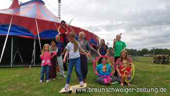 20 Jahre gesucht: Der Zirkus Dobbelino hat endlich ein Zuhause in Braunschweig