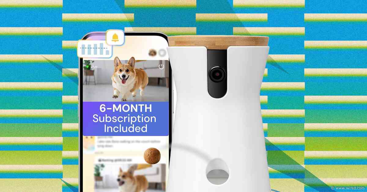 The Best Amazon Prime Day Pet Deals on Feeders, Litter Boxes, and More (2026)