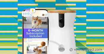 The Best Amazon Prime Day Pet Deals on Feeders, Litter Boxes, and More (2026)