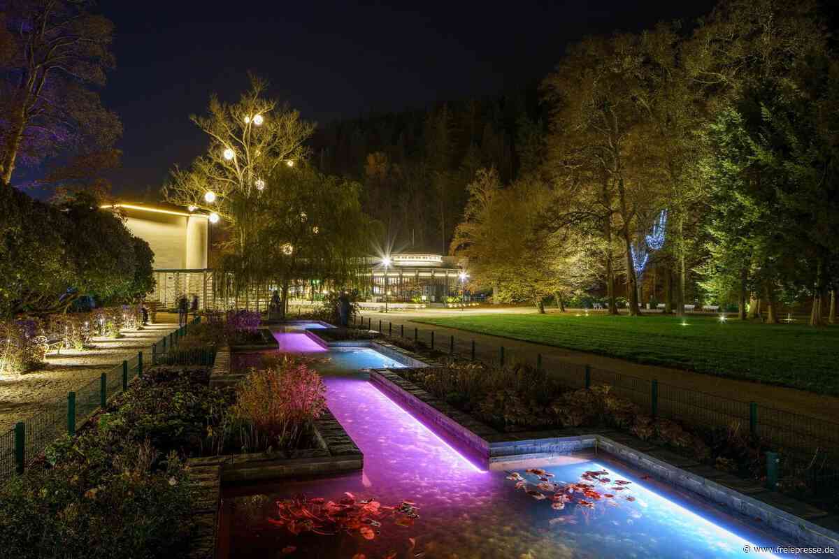 Fünf Jahre Lichterwelt in Bad Elster