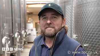 Thieves strip vineyard of 500kg of grapes