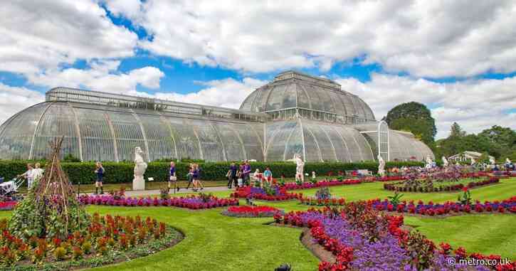 The ‘extraordinary’ London attraction that’s decaying and at risk of being lost forever