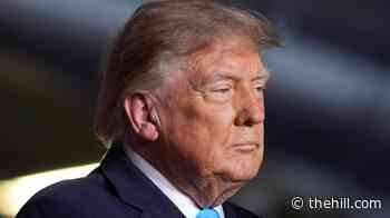 Trump approval rating mired at record low: Poll
