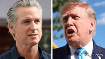Newsom rips Trump over 'let 'em take Los Angeles' remark
