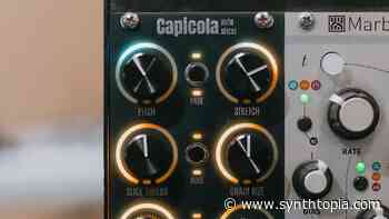 Hermetic Modular Capicola Brings Real-Time Time Stretching To Eurorack