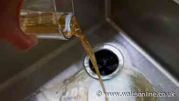 Putting vinegar down the drains in October will combat common household issue