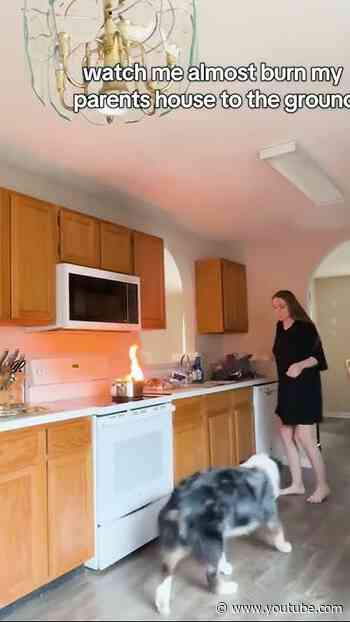 How did the dog know better than she did? #closecall #fire #dogs #shorts #cookingfails