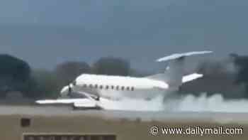 Safari plane packed with tourists makes emergency landing after hitting a ZEBRA during take-off in Tanzania
