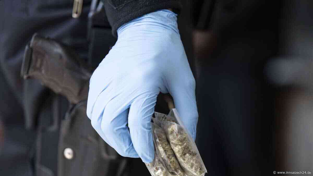 Fünf Kilo Gras im Auto – Polizei zieht Männer aus dem BGL aus dem Verkehr