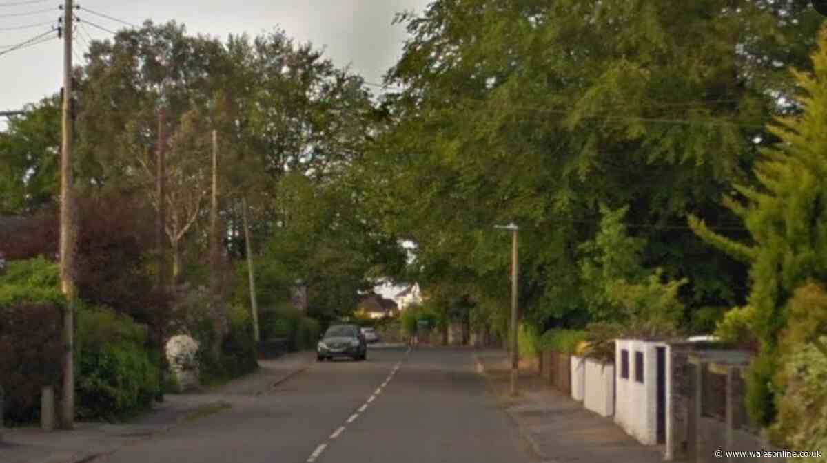 Woman injured after crashing car into garden wall in Swansea