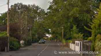 Woman injured after crashing car into garden wall in Swansea