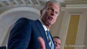 Thune: ‘No clear path forward’ on permanent daylight savings time legislation
