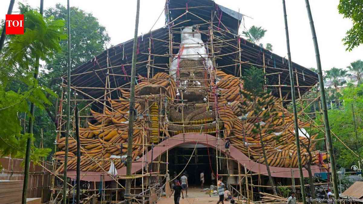 Kolkata’s Park Street, known for Christmas celebrations, to host Durga Puja for first time in centuries