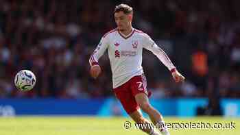 Liverpool told how to unleash Florian Wirtz as Andoni Iraola faces up to bigger dilemma