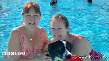 Dogs make a splash at city's lido
