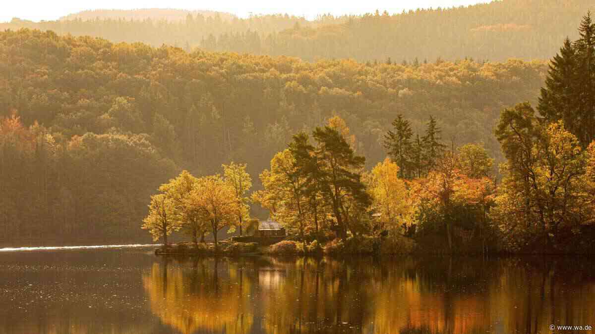 Wo NRW im Herbst am schönsten leuchtet: Acht Orte für goldene Aussichten