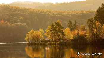 Wo NRW im Herbst am schönsten leuchtet: Acht Orte für goldene Aussichten